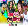 About Jaan Leli Mushki Chawaniya Song